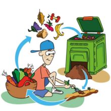 compostajedomestico-lapalmaorganico